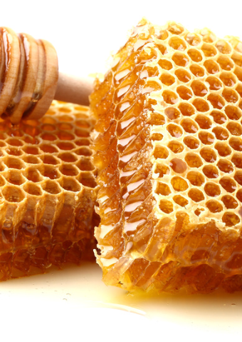 ALL THE BUZZ HONEYCOMB